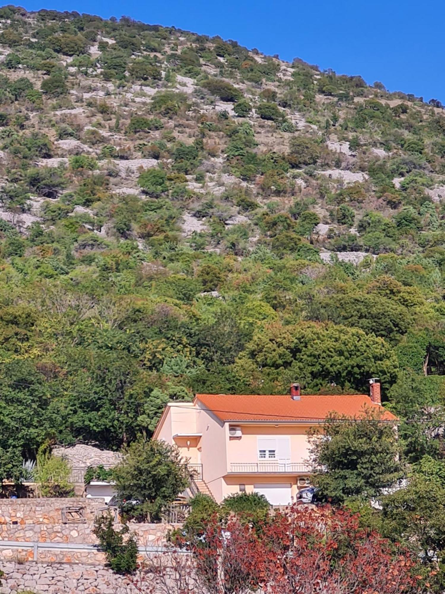 Apartman Luka كلينوفيتسا المظهر الخارجي الصورة